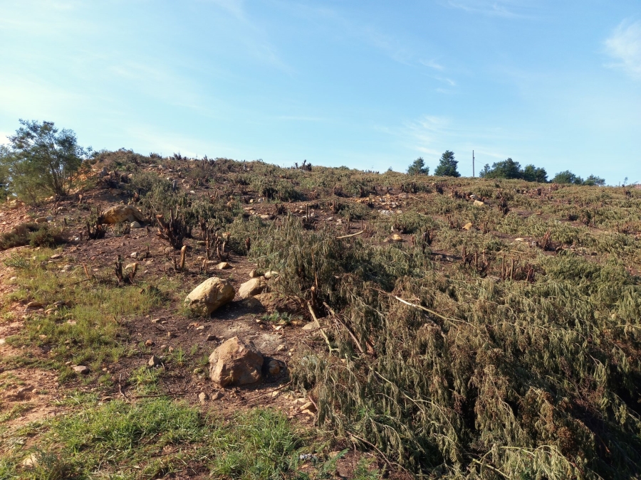 0 Bedroom Property for Sale in Haarlem Western Cape